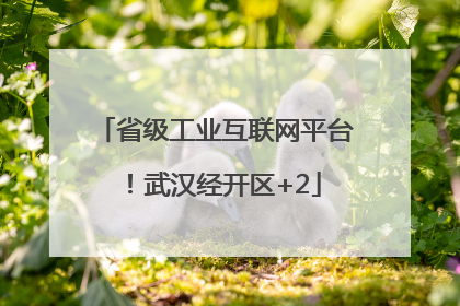 省级工业互联网平台！武汉经开区+2