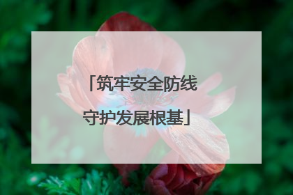 筑牢安全防线 守护发展根基