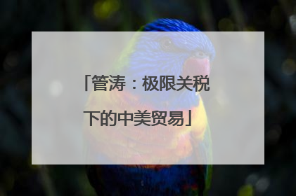 管涛：极限关税下的中美贸易