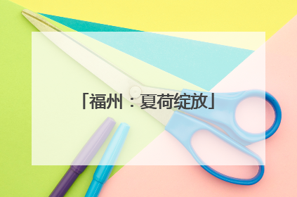 福州：夏荷绽放