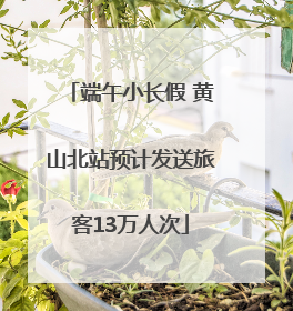 端午小长假 黄山北站预计发送旅客13万人次