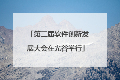 第三届软件创新发展大会在光谷举行