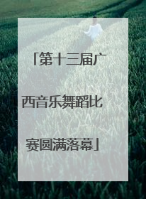 第十三届广西音乐舞蹈比赛圆满落幕