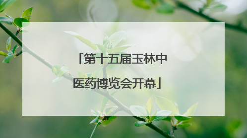 第十五届玉林中医药博览会开幕