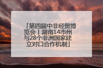 第四届中非经贸博览会丨湖南14市州与28个非洲国家建立对口合作机制