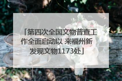 第四次全国文物普查工作全面启动以 来福州新发现文物1173处