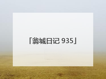 翁城日记 935