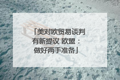 美对欧贸易谈判有新提议 欧盟：做好两手准备