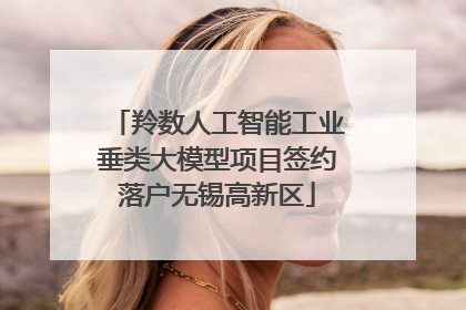羚数人工智能工业垂类大模型项目签约落户无锡高新区