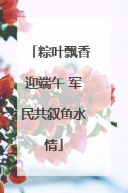 粽叶飘香迎端午 军民共叙鱼水情
