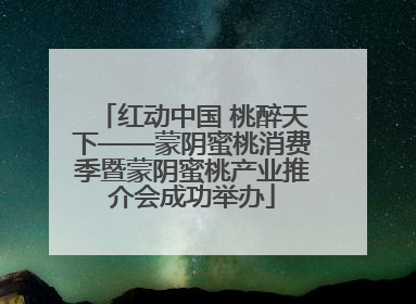 红动中国 桃醉天下——蒙阴蜜桃消费季暨蒙阴蜜桃产业推介会成功举办