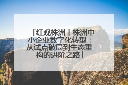 红观株洲丨株洲中小企业数字化转型：从试点破局到生态重构的进阶之路
