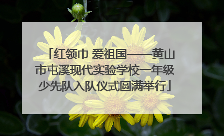 红领巾 爱祖国——黄山市屯溪现代实验学校一年级少先队入队仪式圆满举行