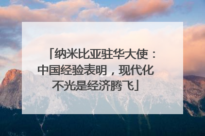 纳米比亚驻华大使：中国经验表明，现代化不光是经济腾飞