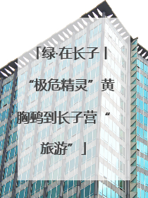 绿·在长子丨“极危精灵”黄胸鹀到长子营“旅游”
