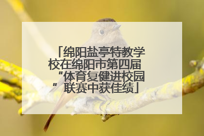 绵阳盐亭特教学校在绵阳市第四届“体育复健进校园”联赛中获佳绩