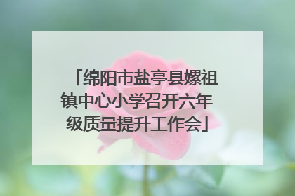 绵阳市盐亭县嫘祖镇中心小学召开六年级质量提升工作会