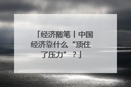 经济随笔丨中国经济靠什么“顶住了压力”？