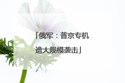 俄军：普京专机遭大规模袭击