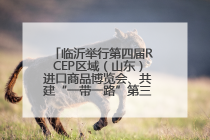 临沂举行第四届RCEP区域（山东）进口商品博览会、共建“一带一路”第三届临沂商城国际采购商大会新闻发布会