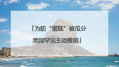 为防“蛋糕”被瓜分 美国罕见主动推销