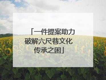 一件提案助力破解六尺巷文化传承之困