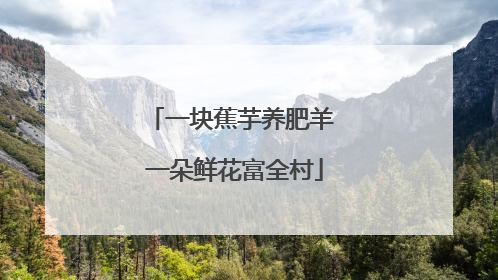 一块蕉芋养肥羊 一朵鲜花富全村