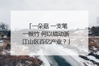 一朵菇 一支笔 一根竹 何以撬动浙江山区百亿产业？