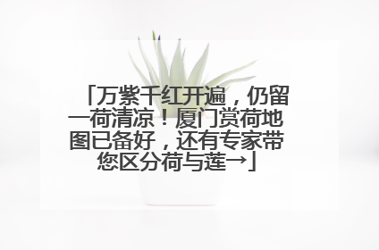 万紫千红开遍，仍留一荷清凉！厦门赏荷地图已备好，还有专家带您区分荷与莲→