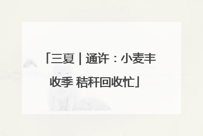 三夏｜通许：小麦丰收季 秸秆回收忙