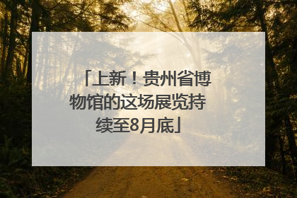上新！贵州省博物馆的这场展览持续至8月底