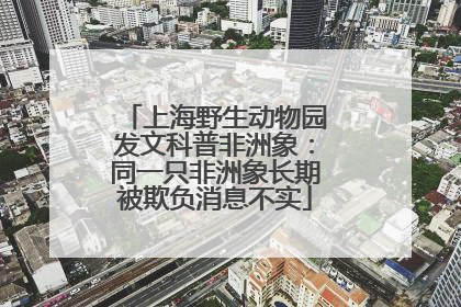 上海野生动物园发文科普非洲象：同一只非洲象长期被欺负消息不实