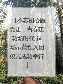 不忘初心跟党走，青春建功新时代 这场示范性入团仪式成功举行