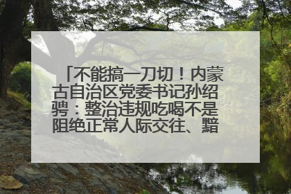 不能搞一刀切！内蒙古自治区党委书记孙绍骋：整治违规吃喝不是阻绝正常人际交往、黯淡人间烟火