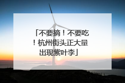 不要摘！不要吃！杭州街头正大量出现紫叶李