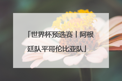 世界杯预选赛丨阿根廷队平哥伦比亚队