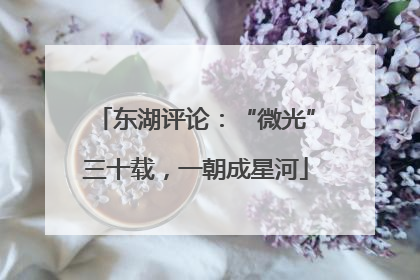 东湖评论：“微光”三十载，一朝成星河