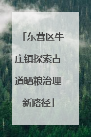 东营区牛庄镇探索占道晒粮治理新路径