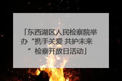 东西湖区人民检察院举办“携手关爱 共护未来”检察开放日活动