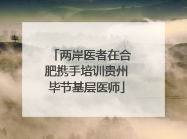 两岸医者在合肥携手培训贵州毕节基层医师