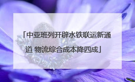 中亚班列开辟水铁联运新通道 物流综合成本降四成