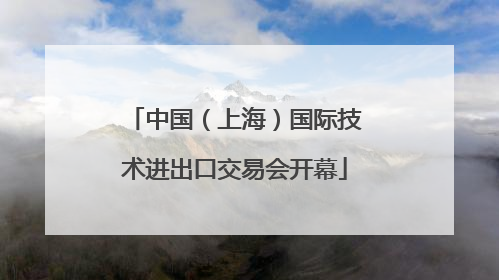 中国（上海）国际技术进出口交易会开幕