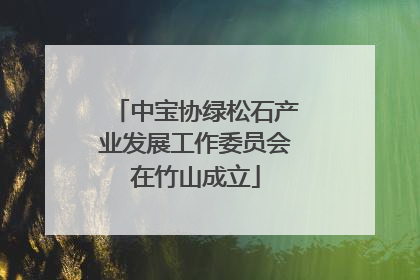 中宝协绿松石产业发展工作委员会在竹山成立