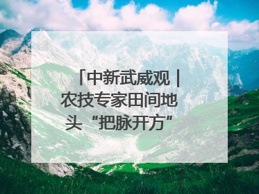 中新武威观｜农技专家田间地头“把脉开方”送“及时雨”