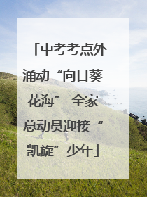 中考考点外涌动“向日葵花海” 全家总动员迎接“凯旋”少年