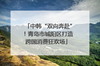 中韩“双向奔赴”！青岛市城阳区打造跨国消费狂欢场