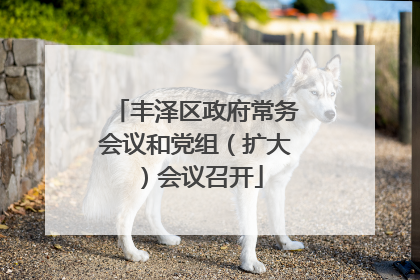 丰泽区政府常务会议和党组（扩大）会议召开