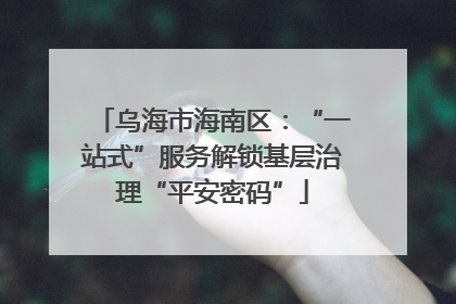 乌海市海南区：“一站式”服务解锁基层治理“平安密码”