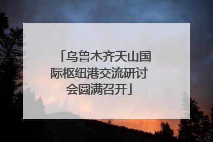 乌鲁木齐天山国际枢纽港交流研讨会圆满召开