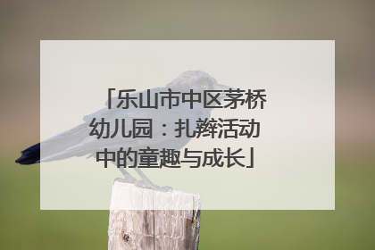 乐山市中区茅桥幼儿园：扎辫活动中的童趣与成长